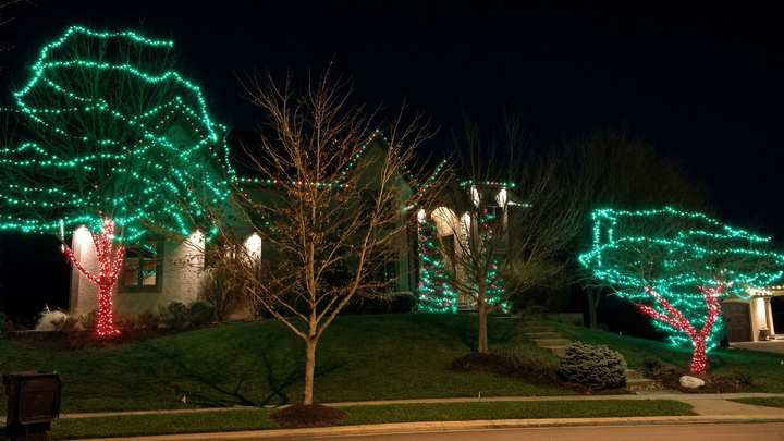 Large trees wrapped in green lights with red-lit trunks in front of a home at night