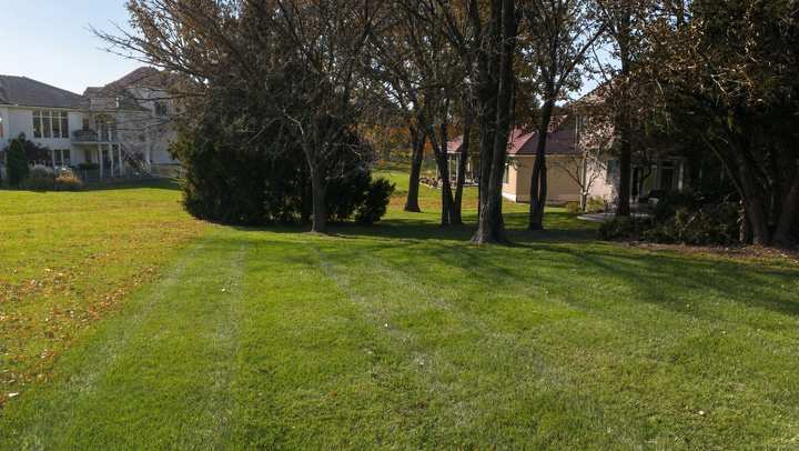 Leaf-free lawn with light mowing stripes beneath large trees in late fall
