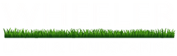 Wheeler Lawn and Landscaping